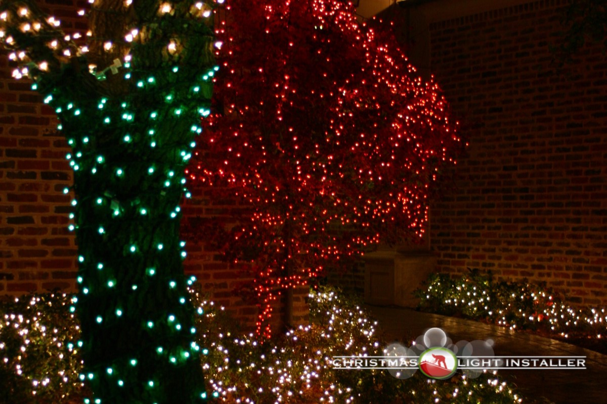 Christmas Light Installation Will Replace Going To The Movies in 2020