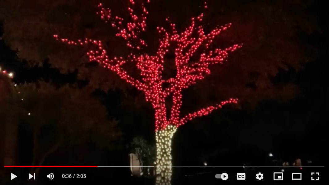 Christmas Light Installation in Frisco Texas Better With Color